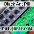 Black Ant Pill new04